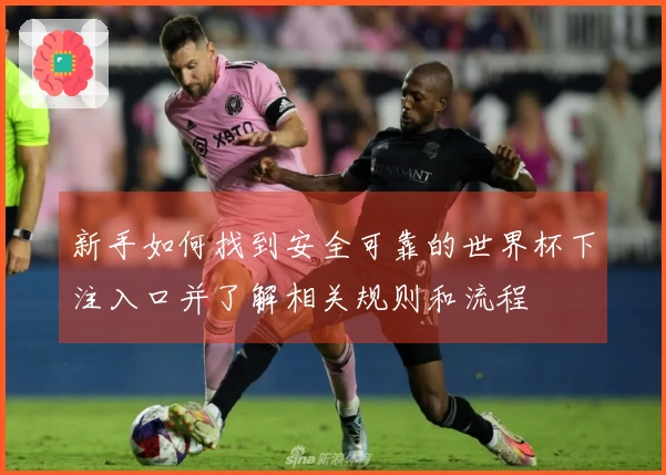 新手如何找到安全可靠的世界杯下注入口并了解相关规则和流程