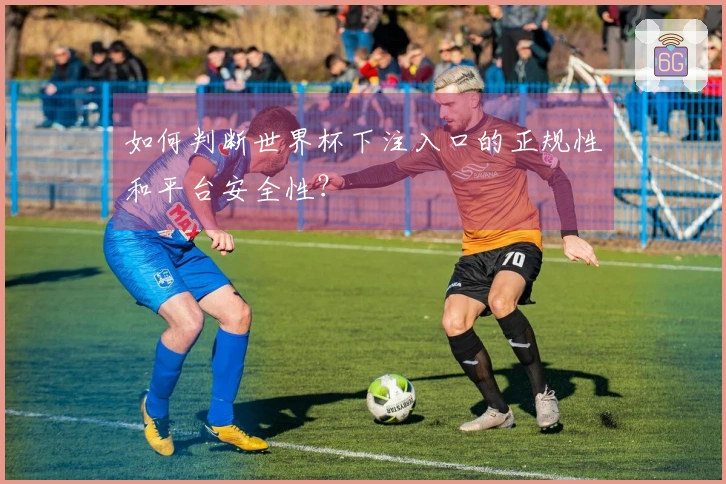如何判断世界杯下注入口的正规性和平台安全性？