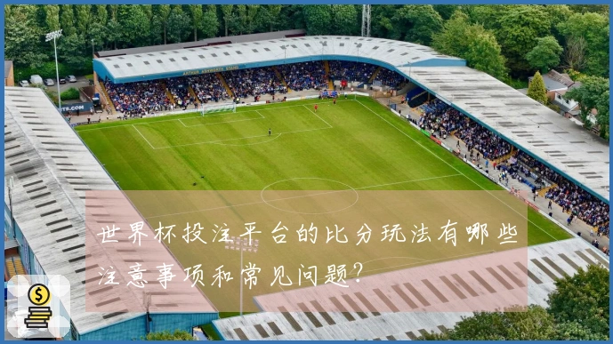 世界杯投注平台的比分玩法有哪些注意事项和常见问题？