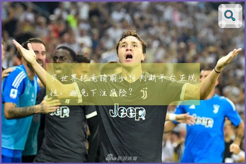买世界杯竞猜前如何判断平台正规性,避免下注风险?