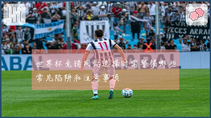 世界杯竞猜网站选择时需警惕哪些常见陷阱和注意事项