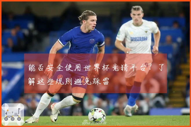 能否安全使用世界杯竞猜平台？了解这些规则避免踩雷