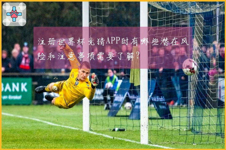 注册世界杯竞猜APP时有哪些潜在风险和注意事项需要了解？