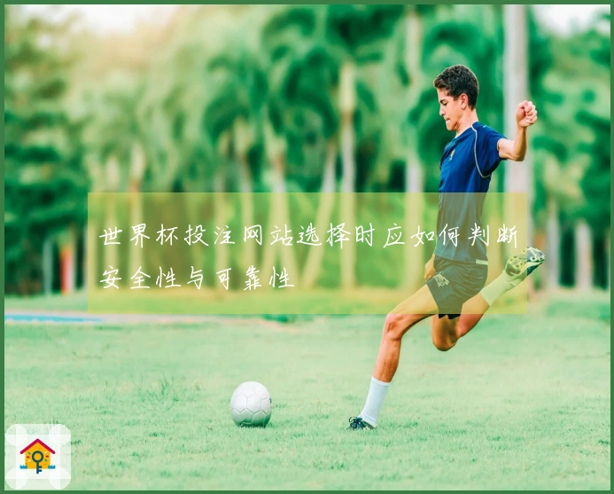 世界杯投注网站选择时应如何判断安全性与可靠性