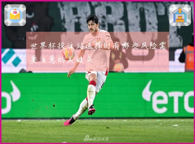 世界杯投注站选择时有哪些风险需要注意的关键点