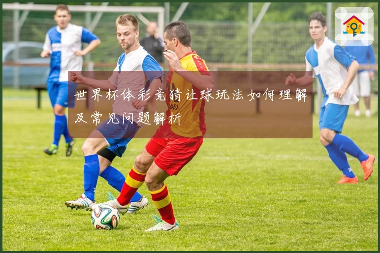 世界杯体彩竞猜让球玩法如何理解及常见问题解析
