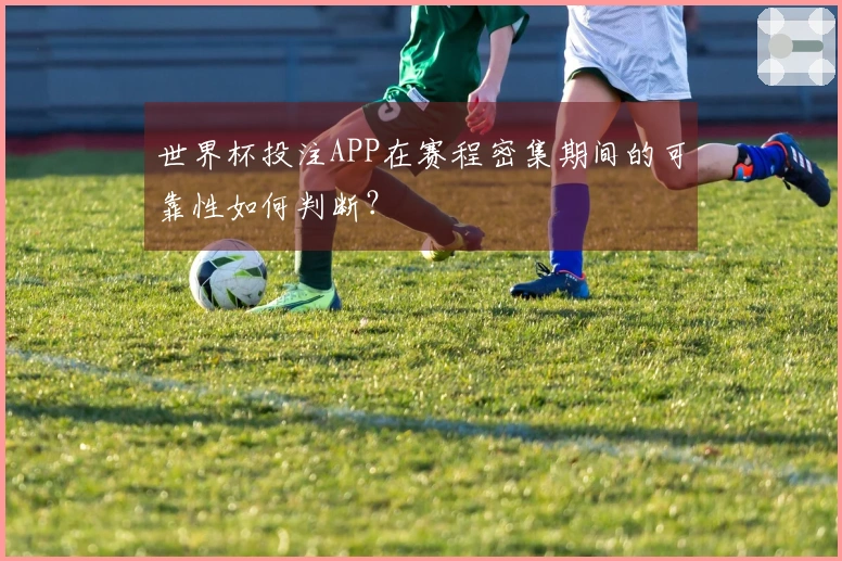 世界杯投注APP在赛程密集期间的可靠性如何判断?