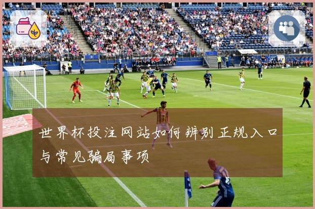 世界杯投注网站如何辨别正规入口与常见骗局事项
