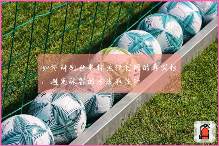如何辨别世界杯竞猜官网的真实性，避免踩雷的方法和技巧