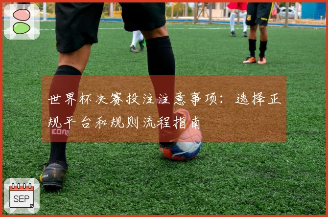 世界杯决赛投注注意事项:选择正规平台和规则流程指南