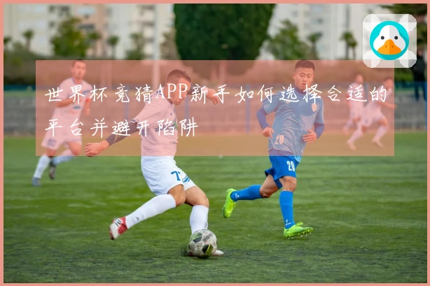世界杯竞猜APP新手如何选择合适的平台并避开陷阱