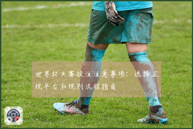 世界杯决赛投注注意事项：选择正规平台和规则流程指南