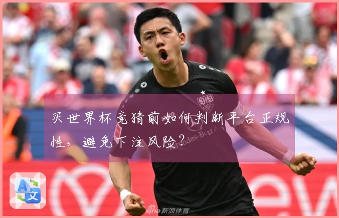 买世界杯竞猜前如何判断平台正规性，避免下注风险？