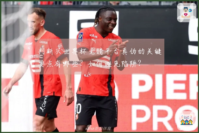 判断买世界杯竞猜平台真伪的关键要点有哪些？如何避免陷阱？