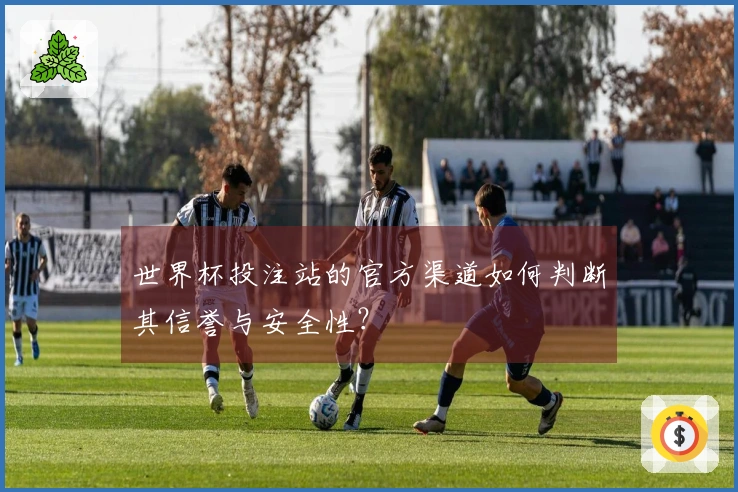 世界杯投注站的官方渠道如何判断其信誉与安全性？