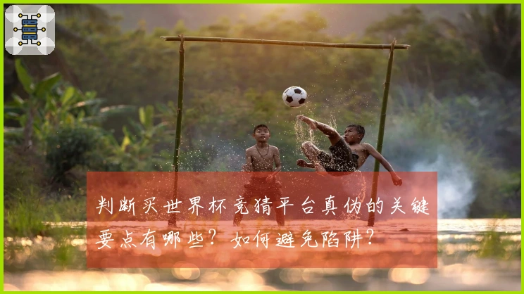 判断买世界杯竞猜平台真伪的关键要点有哪些？如何避免陷阱？