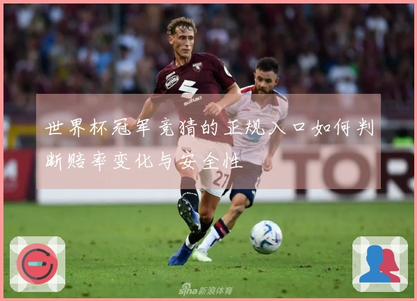 世界杯冠军竞猜的正规入口如何判断赔率变化与安全性