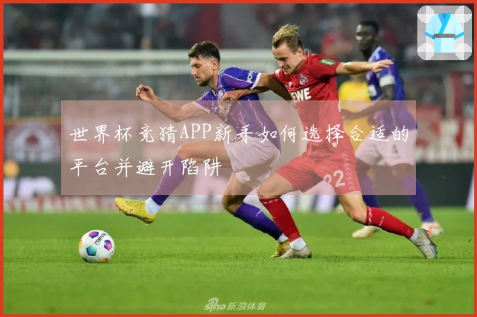 世界杯竞猜APP新手如何选择合适的平台并避开陷阱