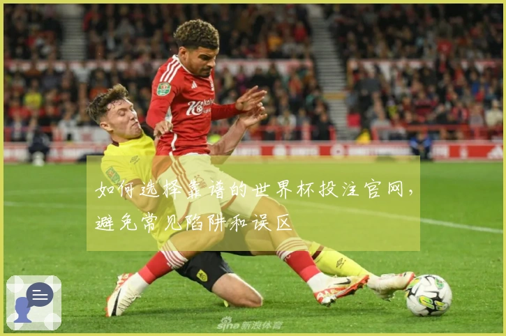 如何选择靠谱的世界杯投注官网，避免常见陷阱和误区