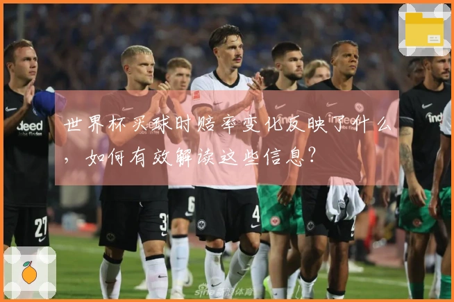 世界杯买球时赔率变化反映了什么，如何有效解读这些信息？