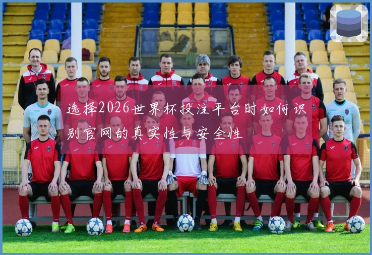 选择2026世界杯投注平台时如何识别官网的真实性与安全性