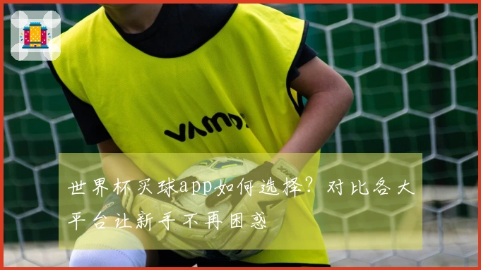 世界杯买球app如何选择？对比各大平台让新手不再困惑