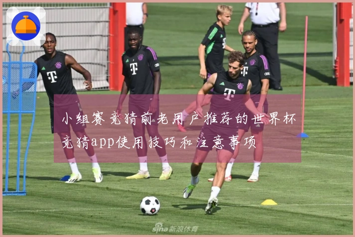 小组赛竞猜前老用户推荐的世界杯竞猜app使用技巧和注意事项