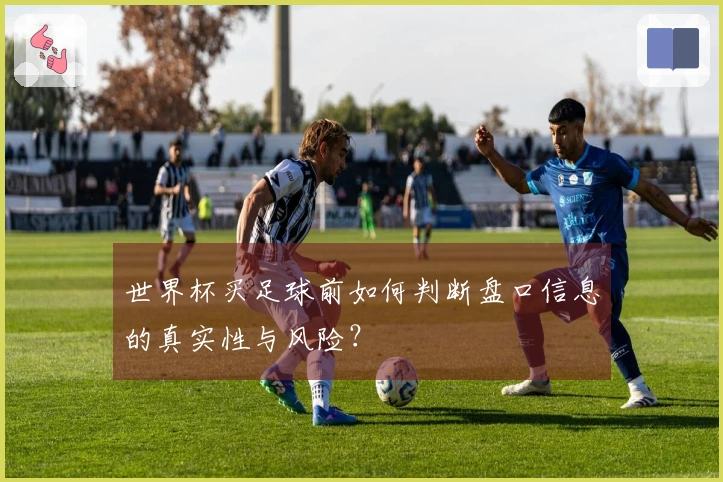世界杯买足球前如何判断盘口信息的真实性与风险？