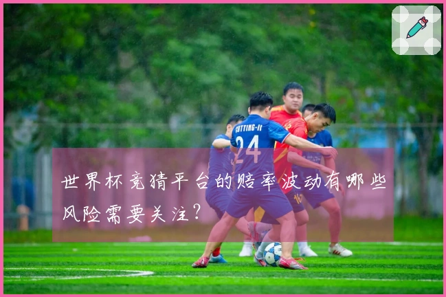 世界杯竞猜平台的赔率波动有哪些风险需要关注？
