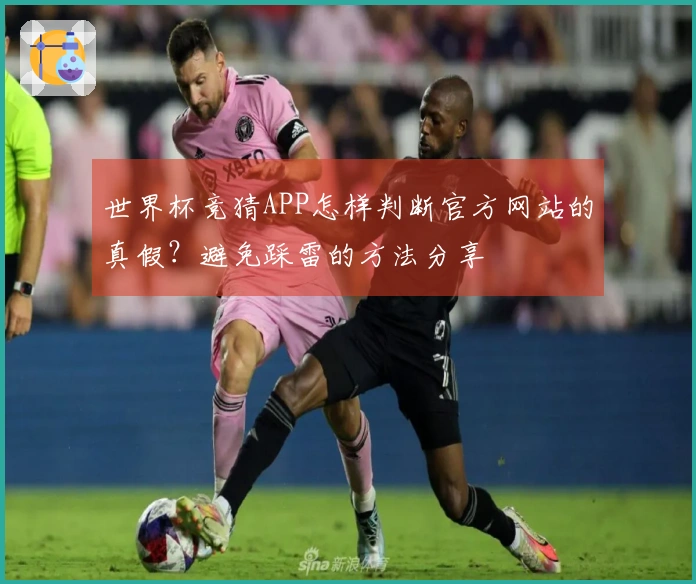 世界杯竞猜APP怎样判断官方网站的真假？避免踩雷的方法分享