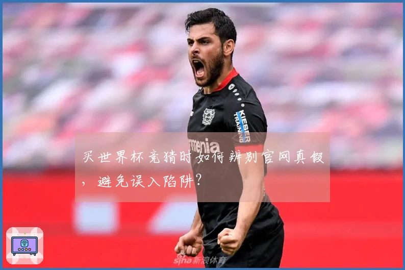买世界杯竞猜时如何辨别官网真假，避免误入陷阱？